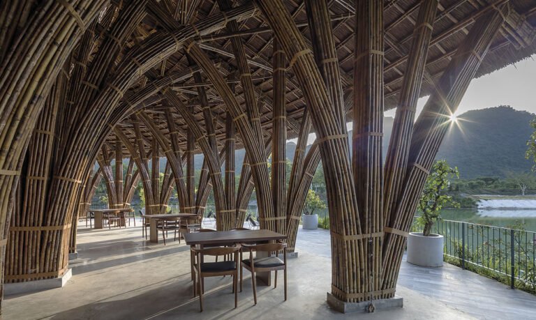 Bambous , matériau écologique en RDC mais sous exploité en 2026